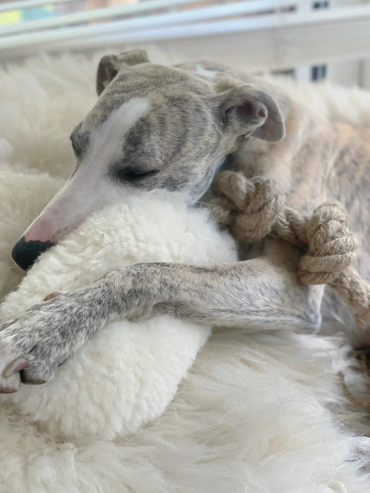 Natural Woolen Dog Tug Toy - Beige-3