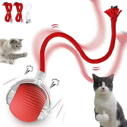 Interactive Toy Cats-0